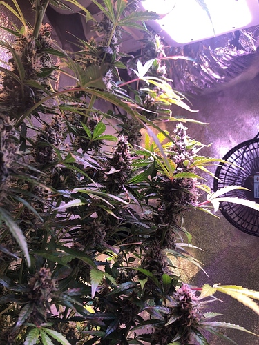 Growreport Bild 30