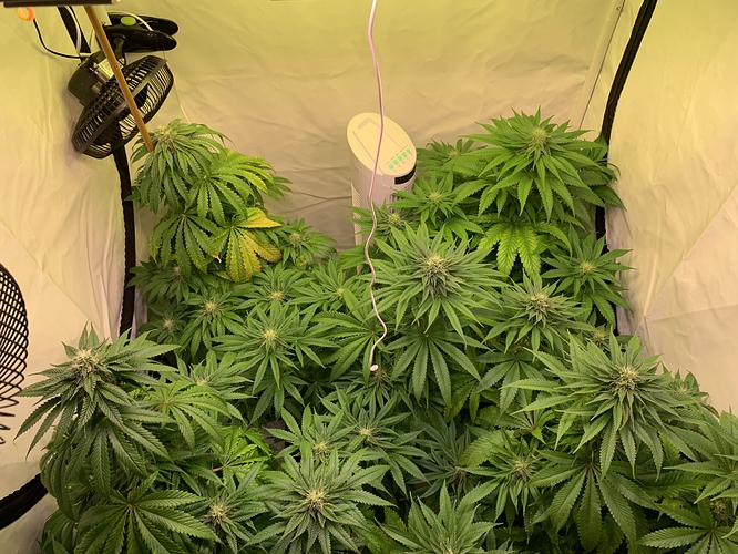 Growreport Bild 6