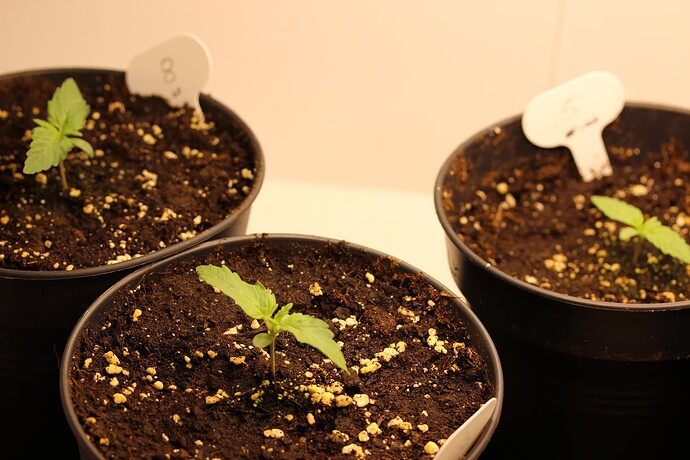 Growreport Bild 11