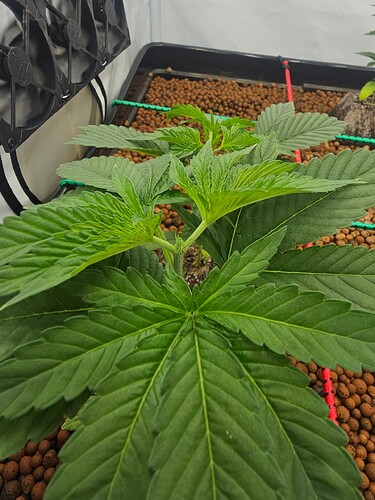 Growreport Bild 2