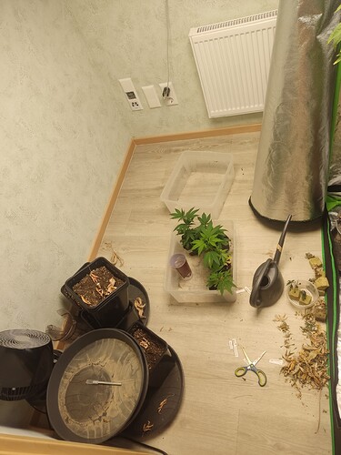 Growreport Bild 2