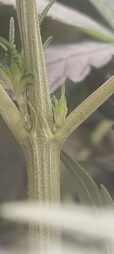 Growreport Bild 7