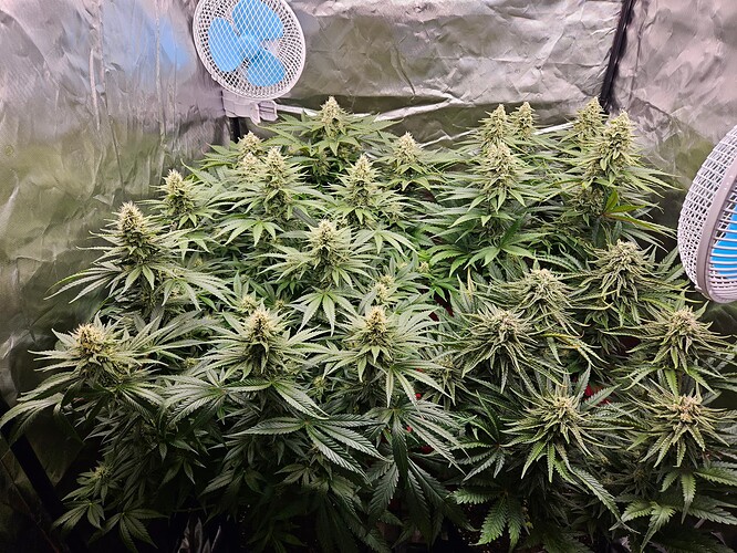 Growreport Bild 16