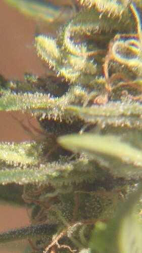 Growreport Bild 21