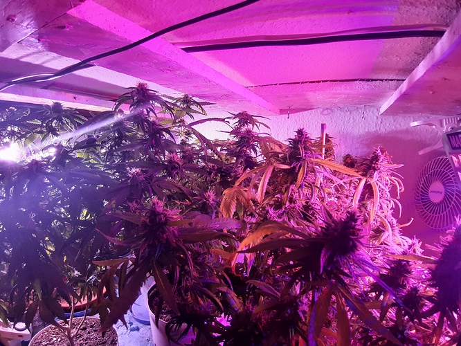 Growreport Bild 2