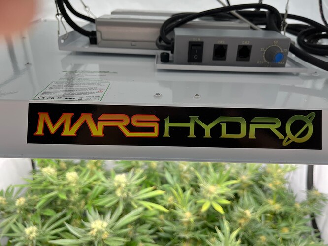 Growreport Bild 7