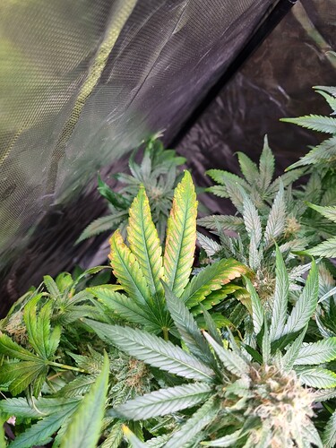 Growreport Bild 8