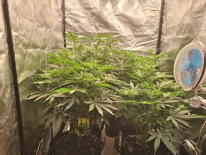 Growreport Bild 7