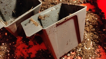 Growreport Bild 3