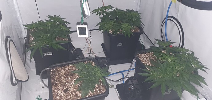Growreport Bild 7