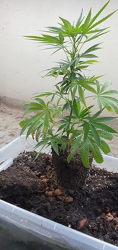 Growreport Bild 18