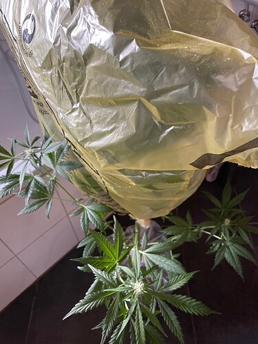 Growreport Bild 14
