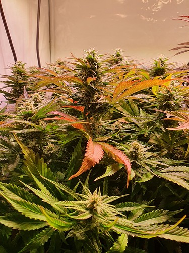 Growreport Bild 11