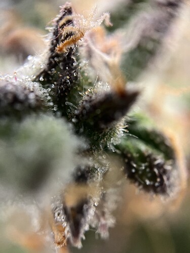 Growreport Bild 11