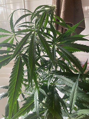 Growreport Bild 23