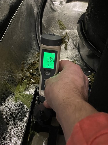 Growreport Bild 7