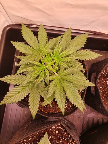 Growreport Bild 16