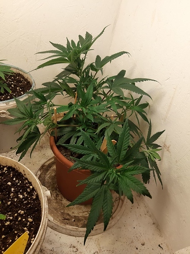 Growreport Bild 2