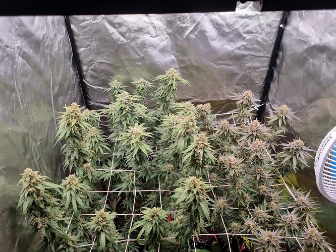 Growreport Bild 23