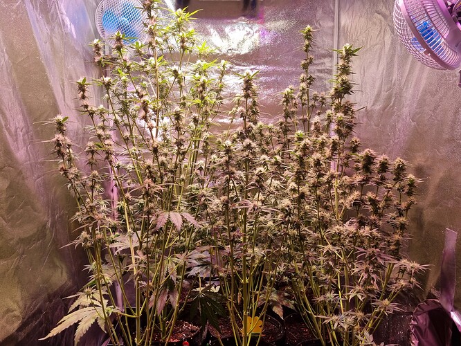 Growreport Bild 23