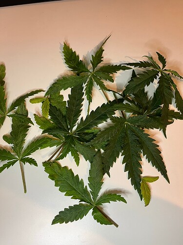 Growreport Bild 10