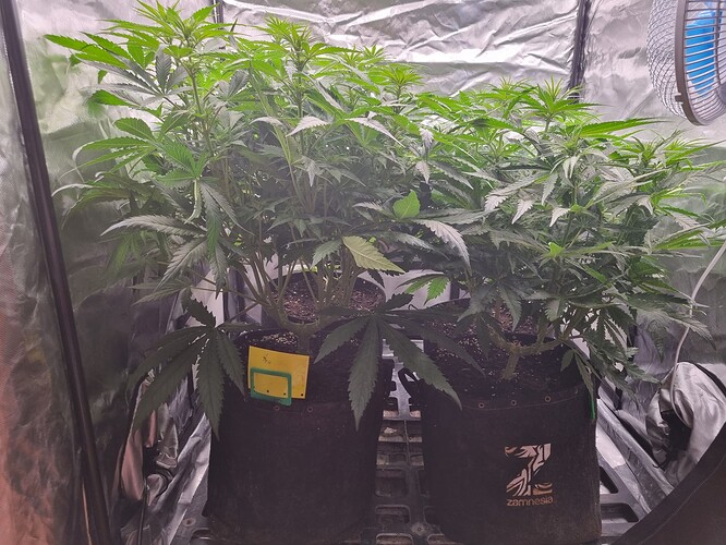 Growreport Bild 24