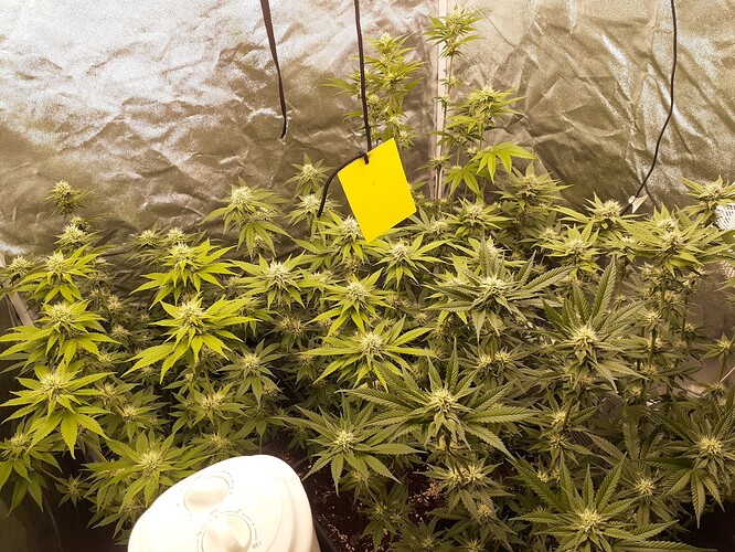 Growreport Bild 9