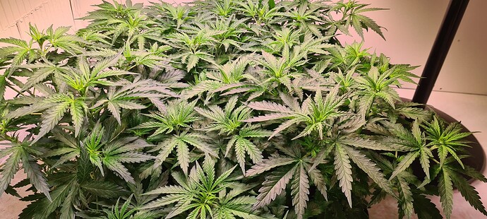 Growreport Bild 12