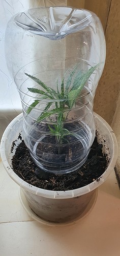 Growreport Bild 7