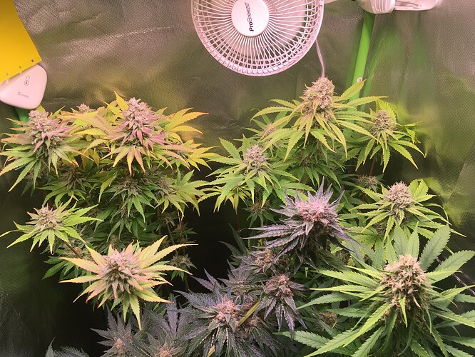 Growreport Bild 12