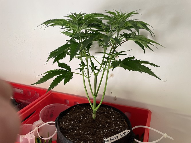 Growreport Bild 9