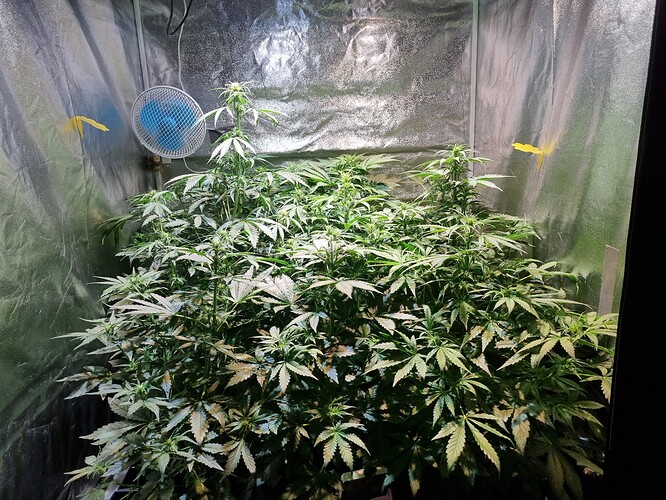Growreport Bild 13