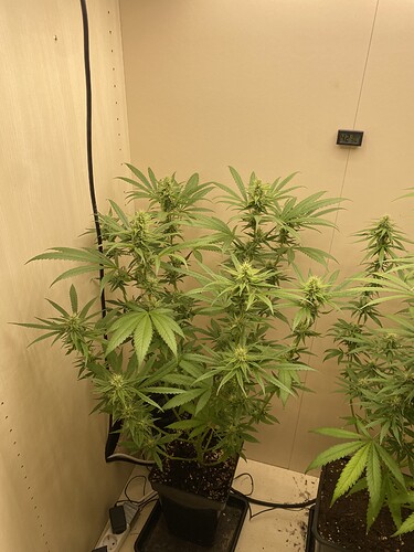 Growreport Bild 20