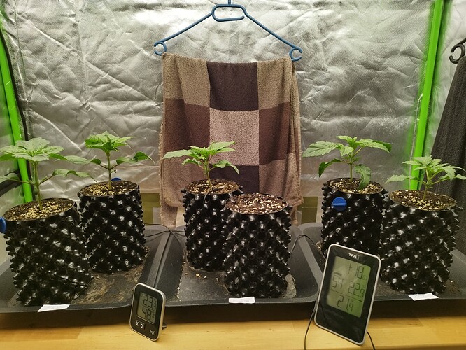 Growreport Bild 6