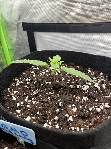 Growreport Bild 18