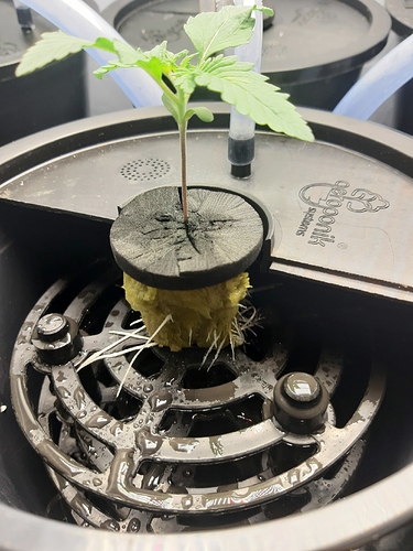 Growreport Bild 8