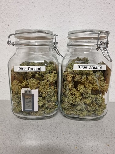 Growreport Bild 10