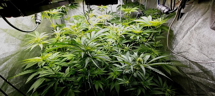 Growreport Bild 5