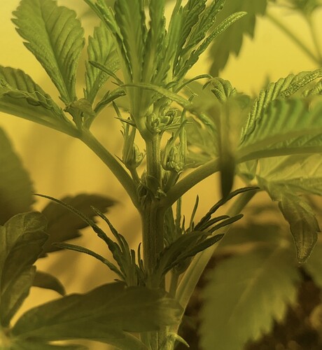 Growreport Bild 6