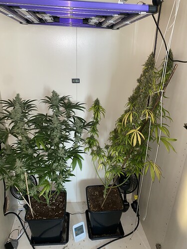 Growreport Bild 11