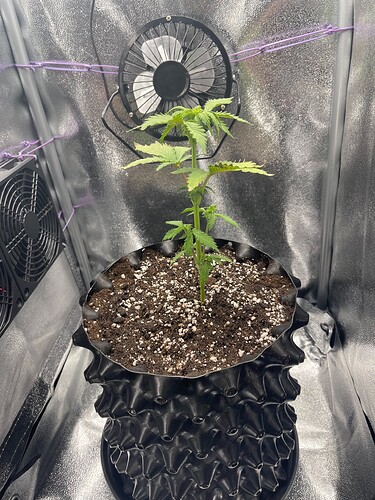 Growreport Bild 6