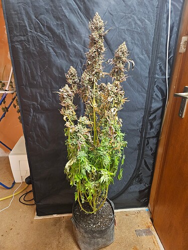 Growreport Bild 20
