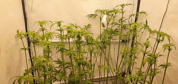 Growreport Bild 11
