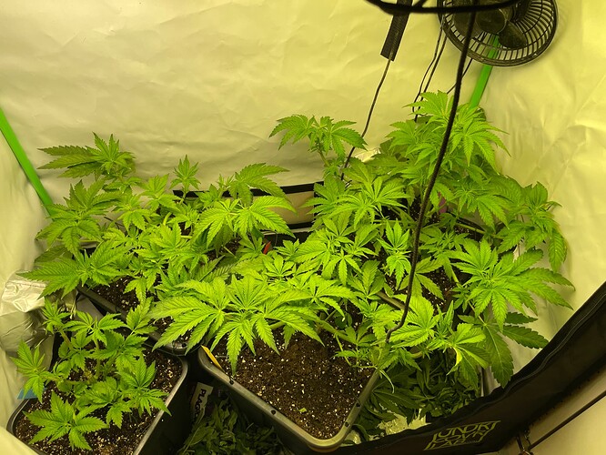 Growreport Bild 22