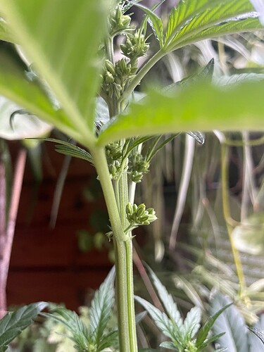 Growreport Bild 12