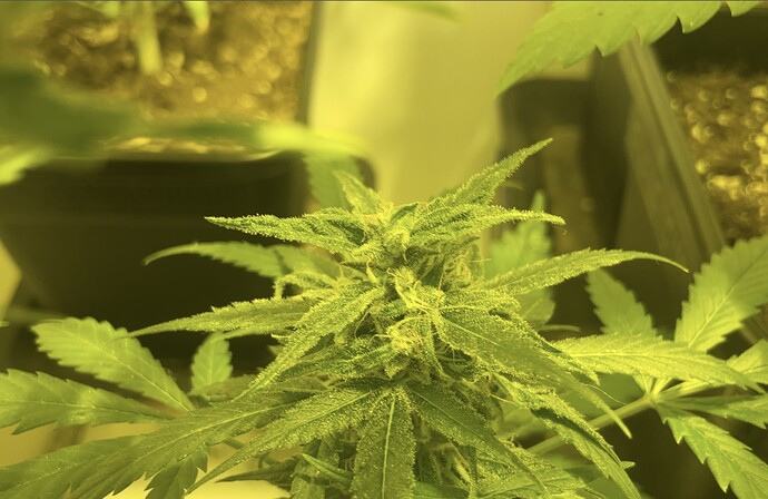 Growreport Bild 11