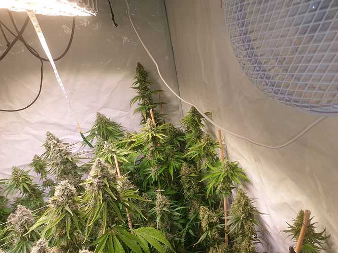 Growreport Bild 10