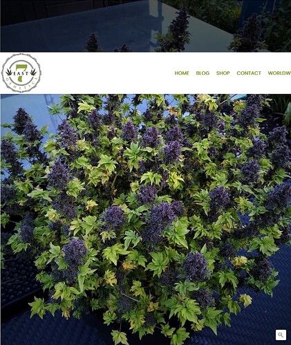 Growreport Bild 4
