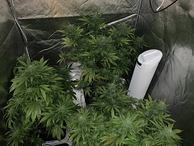 Growreport Bild 9