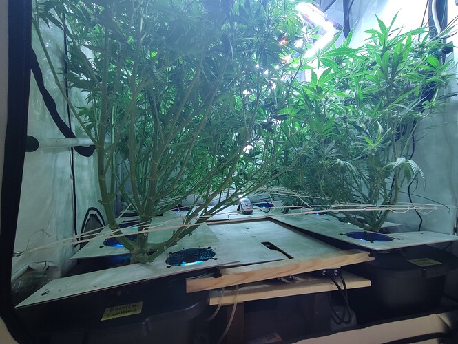Growreport Bild 9